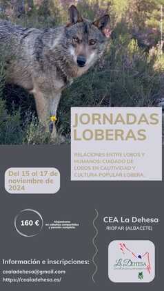 JORNADAS LOBERAS  RELACIONES ENTRE LOBOS Y HUMANOS: CUIDADO DE LOBOS EN CAUTIVIDAD Y CULTURA POPULAR LOBERA 15-17 DE NOVIEMBRE DE 2024